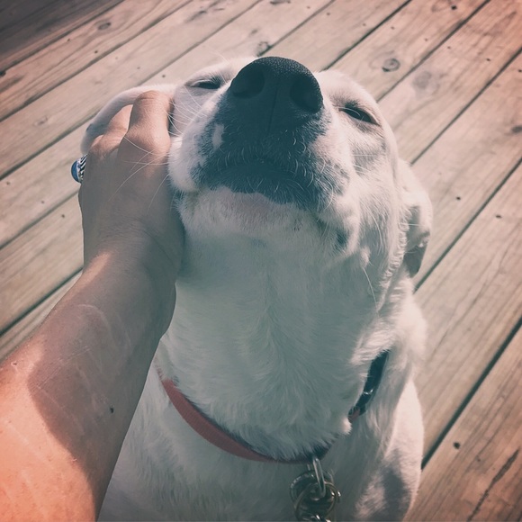 Meet your Posher, Christina - Picture 2 of 2